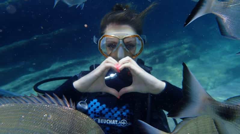 Antalya Scuba Diving Tour, With Lunch & Return Transfers - What your $38 buys on the Antalya coast