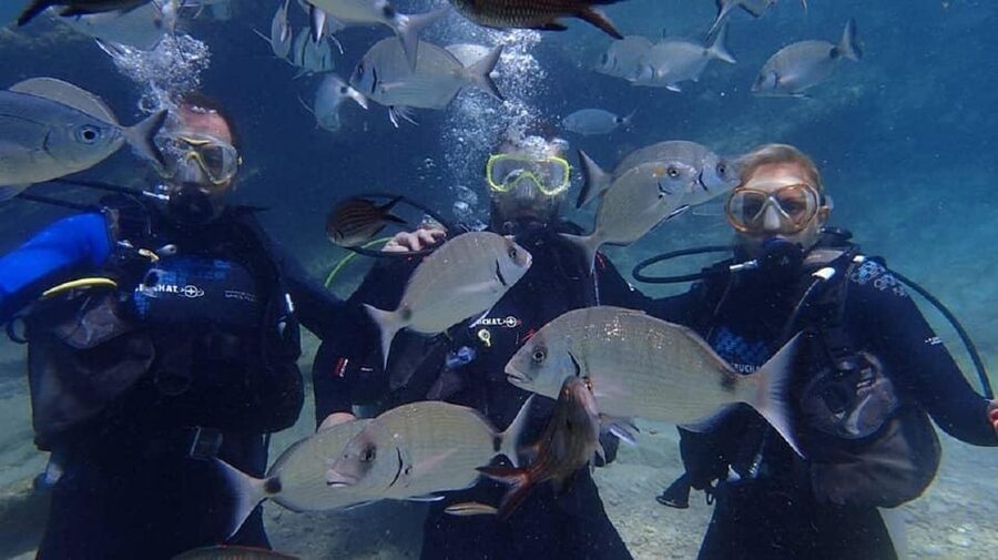 Antalya Scuba Diving Tour, With Lunch & Return Transfers - Martı Island and the second 20-minute session