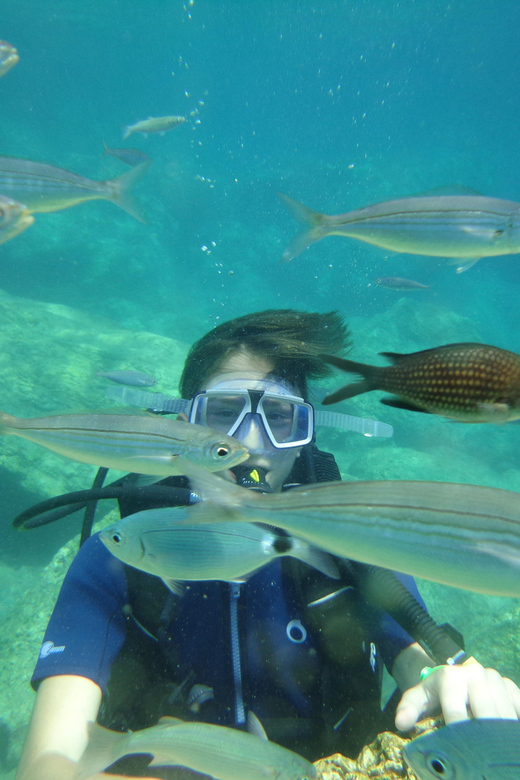 Antalya Scuba Diving Tour, With Lunch & Return Transfers - The return to Setur Marina and certificate ceremony