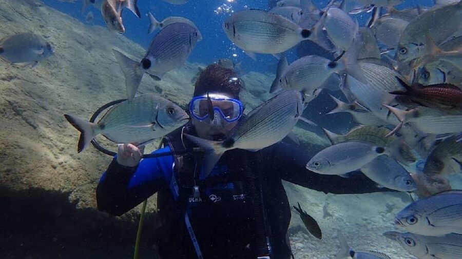 Antalya Scuba Diving Tour, With Lunch & Return Transfers - Who should book this Antalya scuba outing