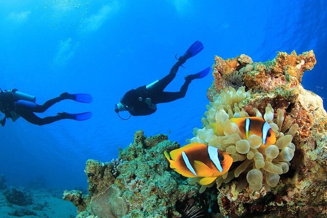 Antalya Scuba Diving With Transfer From Belek,Lara,Kemer Hotels - A Good First Underwater Experience