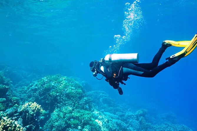 Antalya Scuba Diving With Transfer From Belek,Lara,Kemer Hotels - The Age Rule Needs Careful Attention