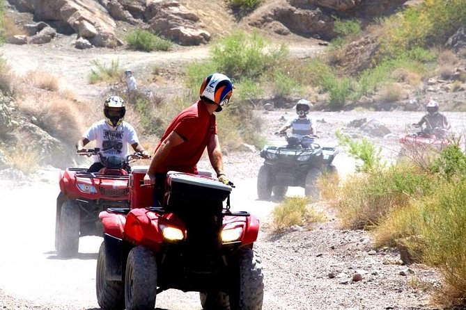 ATV Adventure Antalya with Hotel Pick-Up - Topallı: trees, village houses, and open-air riding