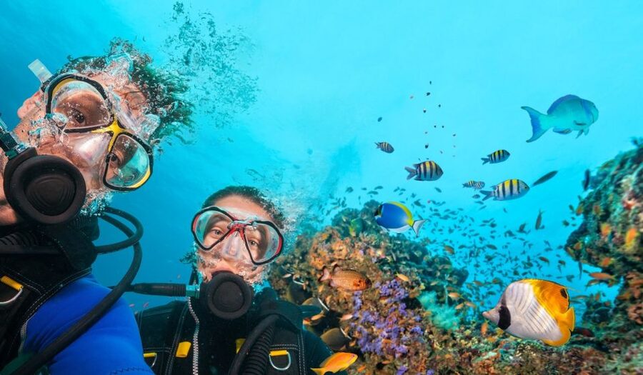 Belek: Scuba Diving in the Mediterranean Sea - Two sites, clear water, and short turns below the surface