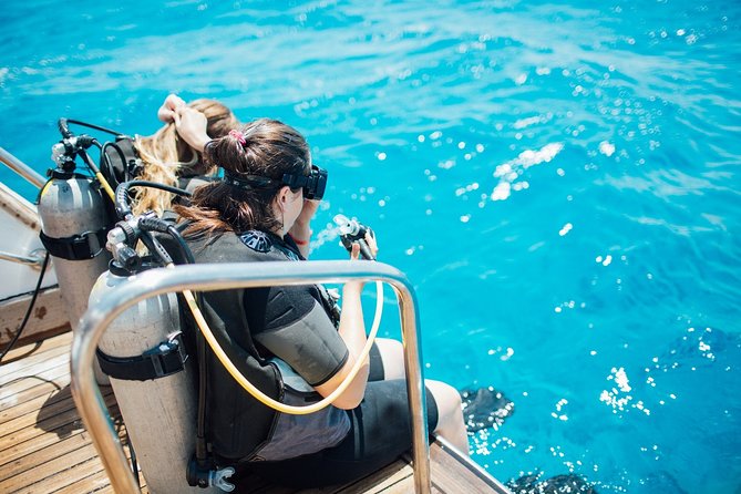 Diving in the Mediterranean sea - The 9:00 am start and transfer to the coast