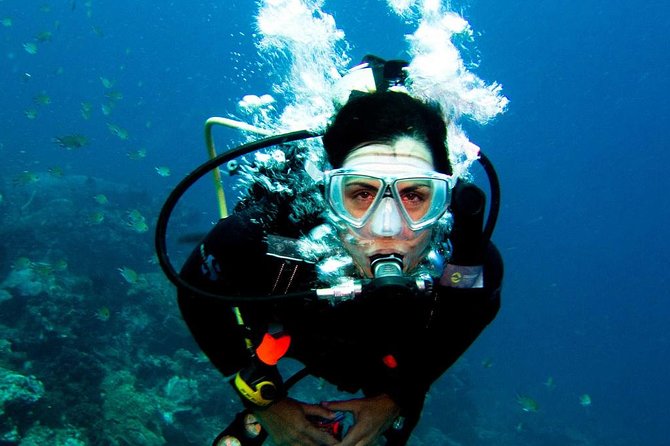 Diving in the Mediterranean sea - The second session, swimming, and snorkeling