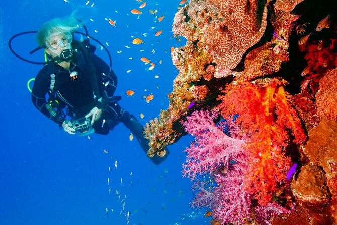 Exciteful Scuba Diving Experience in Antalya - What the Antalya scuba outing is really like