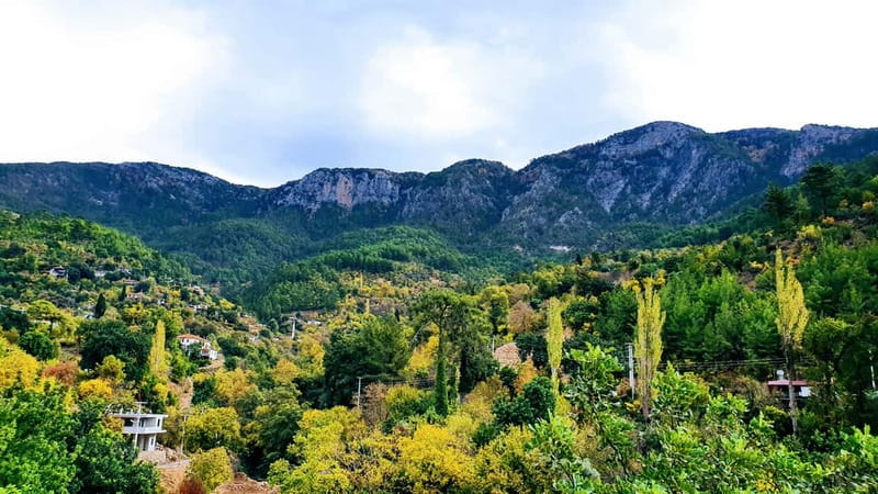 From Antalya: Jeep Safari Tour For All Ages - Who Should Book This Jeep Safari?