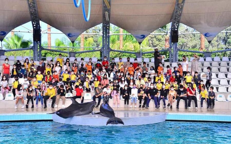 From Belek: Dolphin Show with Transfers - Should you book the Belek dolphin show?