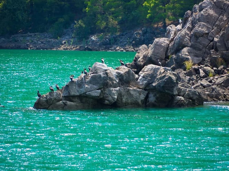 From Belek: Green Canyon Boat Trip with Lunch and Drinks - Swimming in the green water