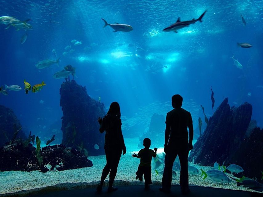 From city of Side: Antalya Aquarium Full-Day Trip - Key points to know before you book