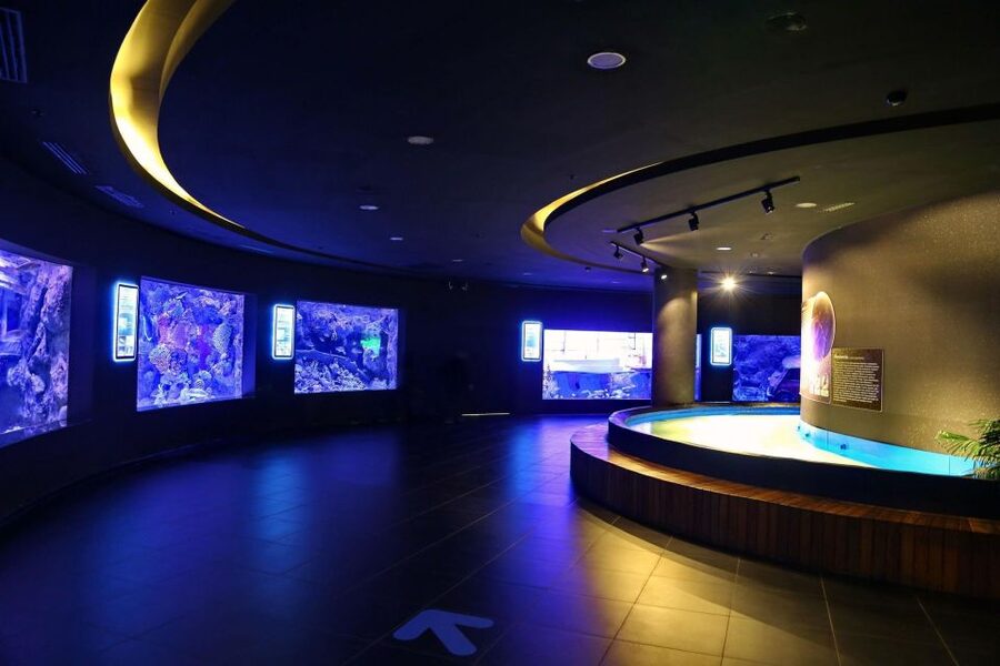 From city of Side: Antalya Aquarium Full-Day Trip - What this Side to Antalya day is really like
