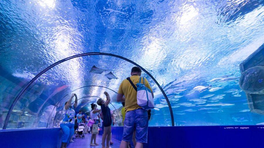 From city of Side: Antalya Aquarium Full-Day Trip - Antalya free time and the old-city stop