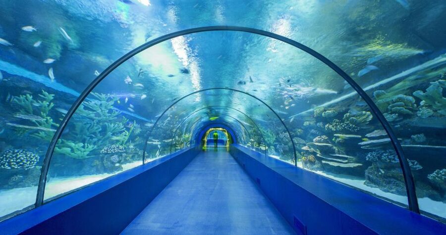 From city of Side: Antalya Aquarium Full-Day Trip - The guide and the day’s organization