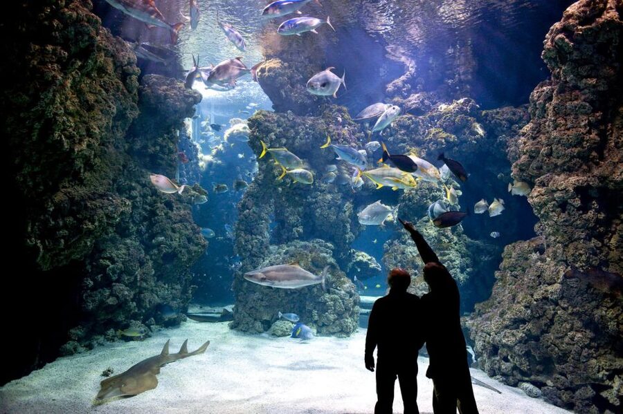 From city of Side: Antalya Aquarium Full-Day Trip - Who will enjoy this most