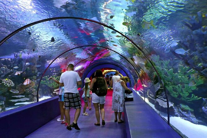 Half Day Antalya Aquarium Tour And Wax Museum - Why Antalya Aquarium works well on a hot afternoon