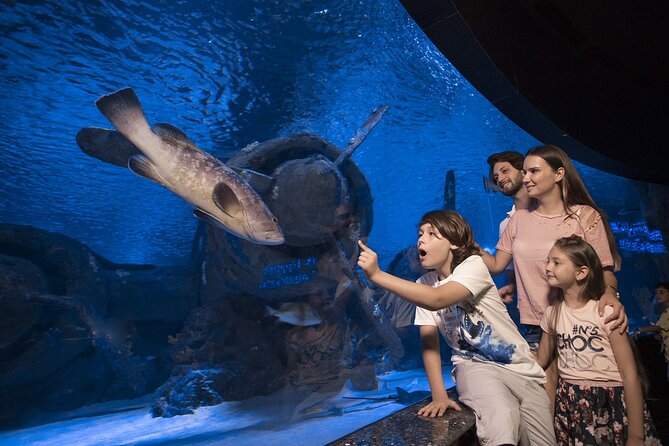 Half Day Antalya Aquarium Tour And Wax Museum - Two and a half hours inside Antalya Aquarium