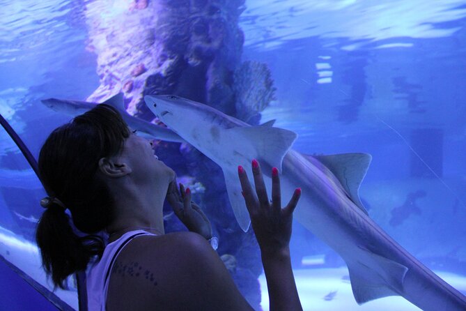 Half Day Antalya Aquarium Tour And Wax Museum - The Face2Face Wax Museum in 30 minutes