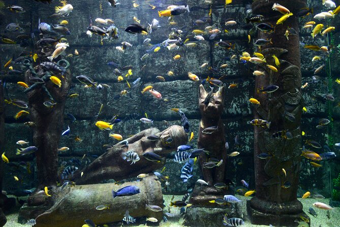 Half Day Antalya Aquarium Tour And Wax Museum - Is the $70 price fair?