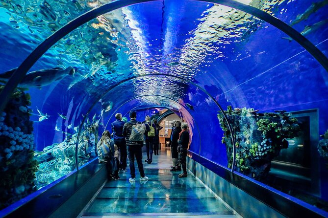 Half Day Antalya Aquarium Tour And Wax Museum - Who will get the most from this outing?