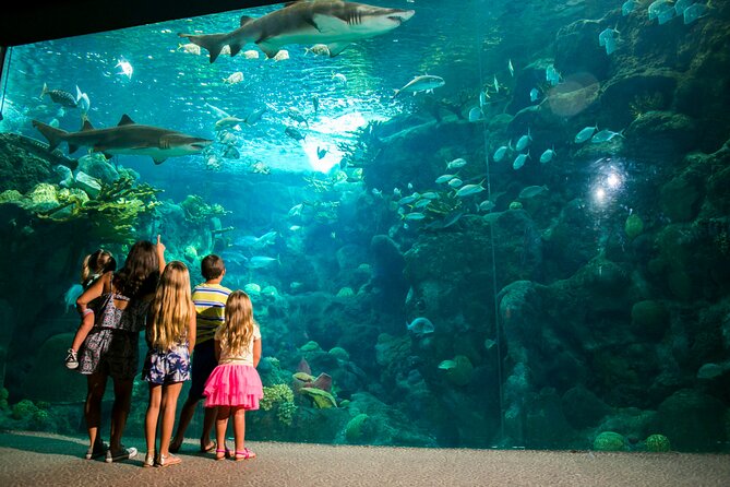 Half Day Antalya Aquarium Tour And Wax Museum - Practical booking advice for a smoother visit