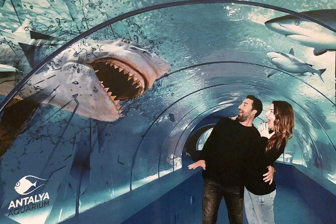 Half Day Antalya Aquarium Tour And Wax Museum - Starting at 2:00 pm in Antalya