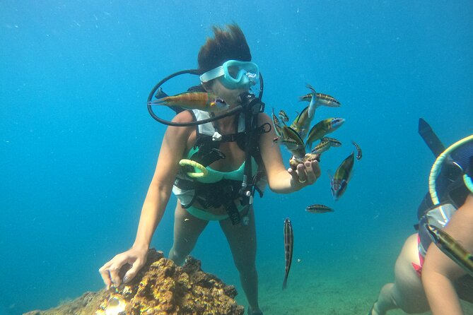 Half Day Scuba Diving @ Duden Waterfalls - Two locations for experienced scuba participants