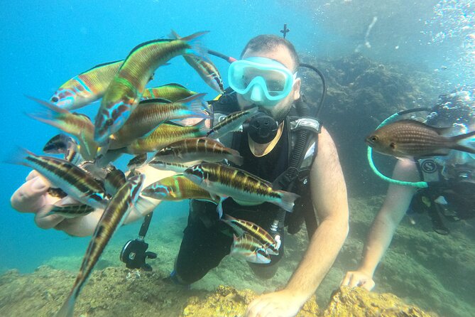 Half Day Scuba Diving @ Duden Waterfalls - Is $115.76 good value?
