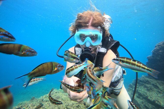 Half Day Scuba Diving @ Duden Waterfalls - Group size, timing, and practical planning