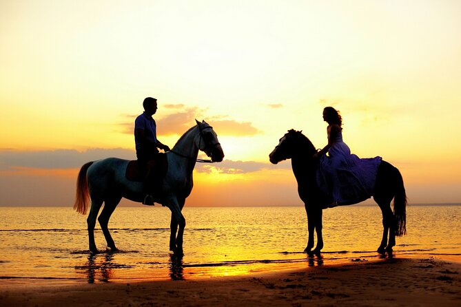 Horse Riding in Antalya,Belek,Lara Beach(Sunrise,Sunset,Day Time) - Horses, helmets, and basic safety