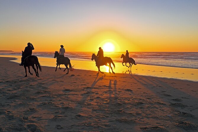 Horse Riding in Antalya,Belek,Lara Beach(Sunrise,Sunset,Day Time) - Transfers and the practical side of the morning