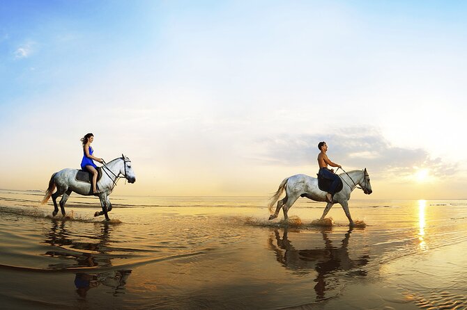 Horse Riding in Antalya,Belek,Lara Beach(Sunrise,Sunset,Day Time) - Is $41.54 a fair price?