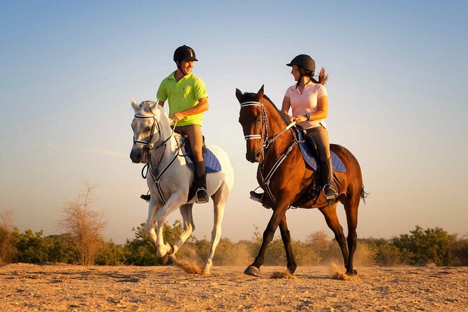 Horse Riding in Antalya,Belek,Lara Beach(Sunrise,Sunset,Day Time) - Pine forest riding: quieter, cooler, and less scenic