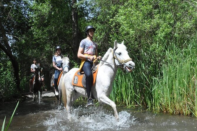 Kemer Horse Safari Experience With Free Hotel Transfer - Group size, pace, and the real feel of the outing