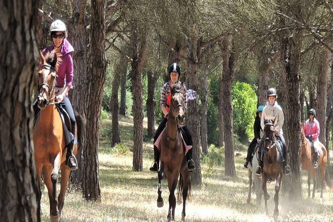 Kemer Horse Safari Experience With Free Hotel Transfer - Cancellation and weather details