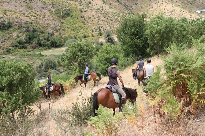 Kemer Horse Safari Experience With Free Hotel Transfer - One hour through the Kemer forest