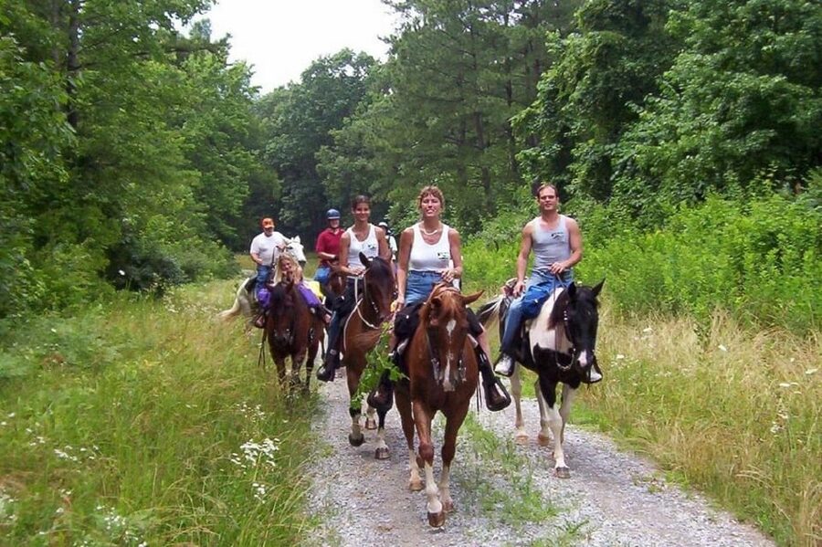Kemer Horse Safari, pick up from Kiris, Beldibi, Goynuk - What the horses and staff add to the experience