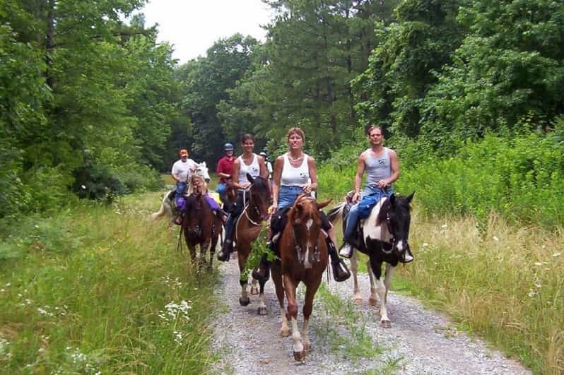 Kemer Horse Safari, pick up from Kiris, Beldibi, Goynuk - Pickup from Kiris, Beldibi, and Goynuk