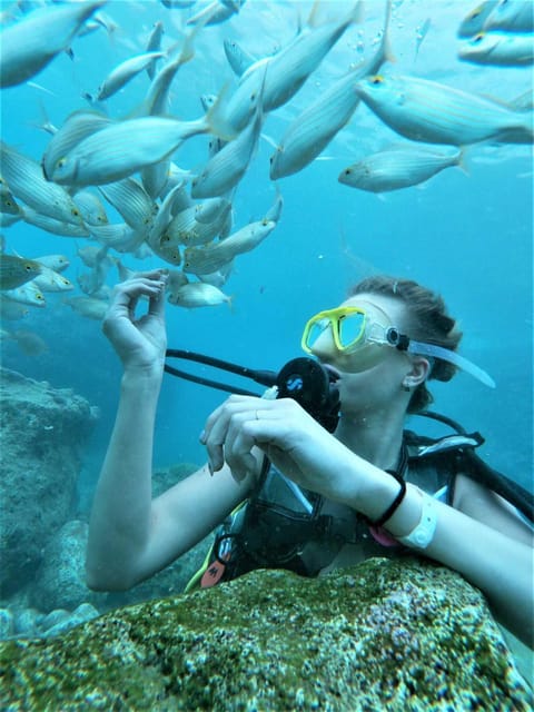 Kemer: Scuba Diving Experience in Aquarium and Kiris Bays - Starting at Kemer Marina or using hotel pickup