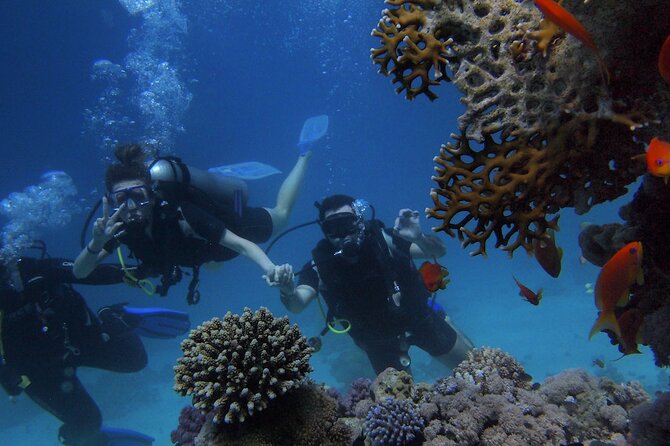 Kemer Scuba Diving Experience: Two Dives with Lunch - Pickup, timing, and what to bring