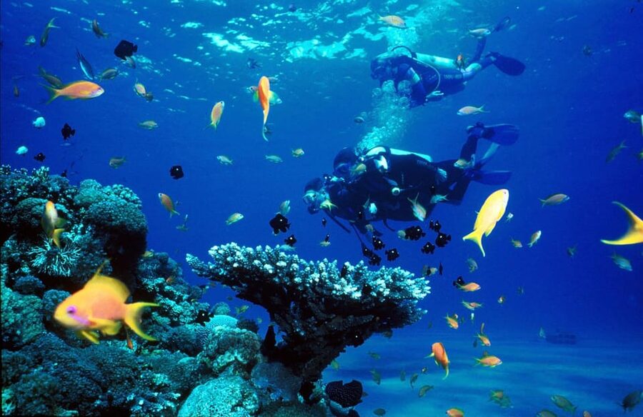 Kemer Scuba Diving with Expert Diving Option - How Much Value Do You Get for $35?