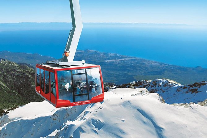 Olympos Cable Car Ride Skip-the Line Ticket - Riding Above the Pine Forests and Coast