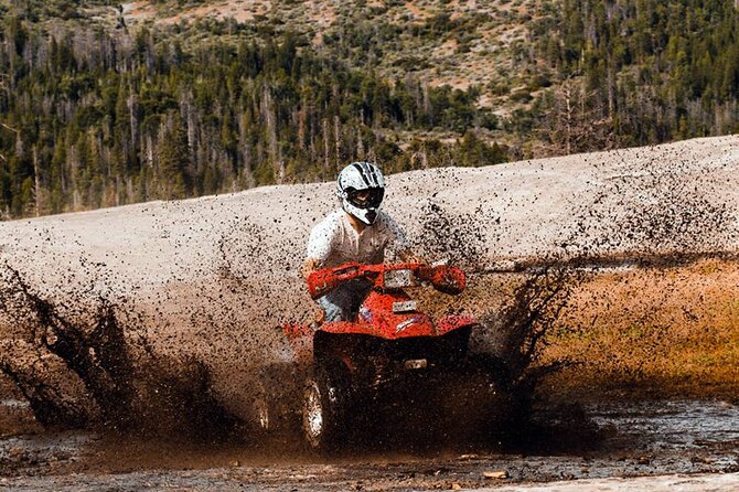 Quad Biking in Belek Forests & Taurus Mountains - English service and group atmosphere