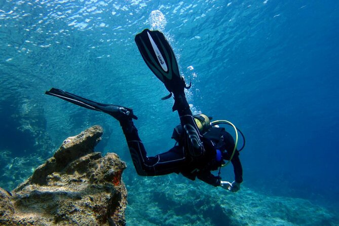 Scuba Diving in Antalya from Antalya & Kemer - What you see beneath the Mediterranean
