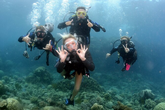 Scuba Diving in Antalya from Antalya & Kemer - Certificates and the end of the day