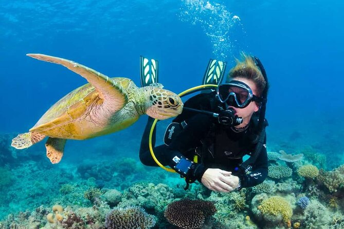 Scuba Diving Tour in Kemer with Lunch and Transfer - Key points to know before booking