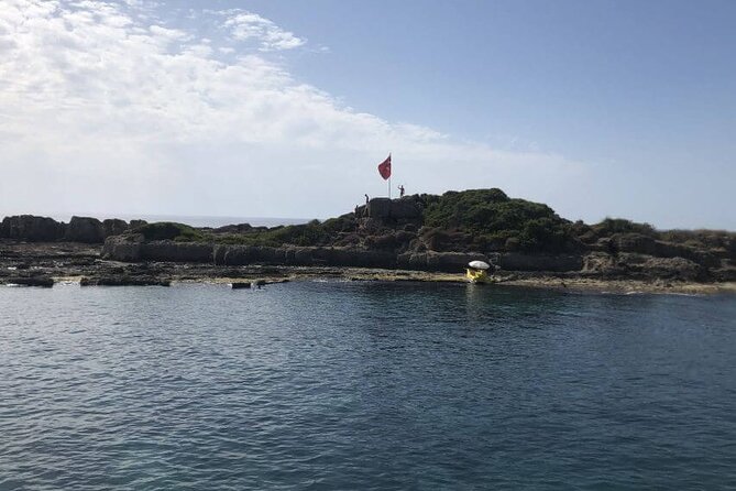 Side: Dolphin Island Boat Tour with Foam Party and Lunch - Key points at a glance